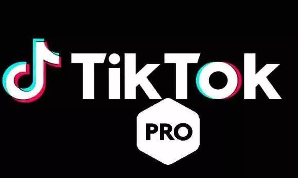 TikTok Pro Version Download: Unleashing New Possibilities in Creativity